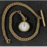 A double Albert chain with fob watch