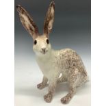 A large Winstanley model of a hare, glass eyes, 39cm, size 9, painted marks