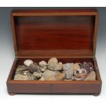 Natural History - Geology and Palaeontology - a collection of rock, mineral and fossil specimens,