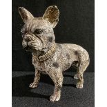 A cold painted bronze model of a French Bull Dog, 10cm, 20th century