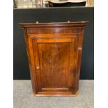 A George III Oak Corner cupboard, moulded cornice, panelled door with shell patera inlay, c.1800,