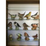 Beswick matt glazed birds, Bullfinch 1042; Robin 980; Goldfinch 2273; Nuthatch 2413; Stonechat 2274;