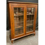 A 20th century oak display cabinet, rectangular top above a pair of astragal cupboard doors