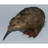 New Zealand - Curiosities - a souvenir zoological model, of a kiwi, 11cm long, early to mid-20th