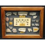 Antiquities - a table-top wunderkammer, Roman Coins and Relics Found at the Site of the Roman Villa,