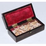 Natural History - a collection of fossilized sharks teeth, the 19th century rosewood box 11cm wide