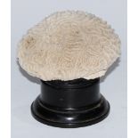 Natural History - a brain coral specimen, mounted for display, 13.5cm high overall