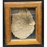 Natural History, Entomology - a transverse cross-section of a wasp's nest, glazed case 25cm x 31cm