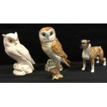 A Beswick model Standing Boxer dog; others Owl 1046, Wren 993, matt; novelty owl (4)