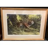 Spencer Hodges by and after, Ltd edition Eye of The Tiger, signed, 167/850, 58cm x 90cm
