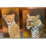 Peter Sturgess (1932-2015) Cheetah, oil on board, 45.5cm x 26.5cm; another similar, 41cm x 31cm (2)