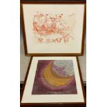 Ann D'arcy Hughes, by and after, 'Noah's Ark', signed, titled, and numbered 10/20, in pencil to