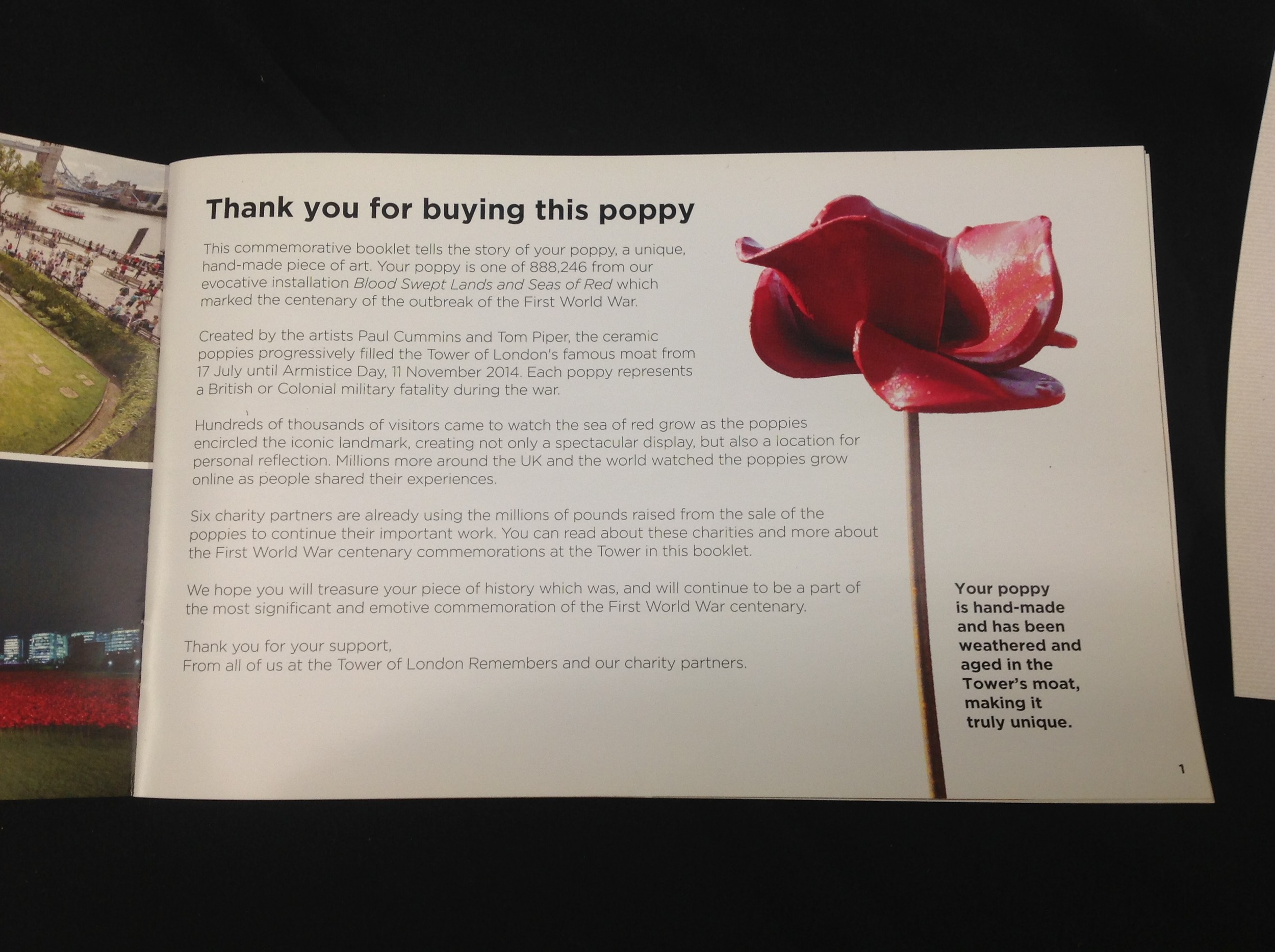 A Royal British Legion Centenary ceramic poppy by Paul Cummins made for the art installation at - Image 6 of 7