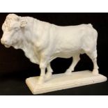 A large early 20th century plaster model of a bull, painted white, possibly butcher's shop