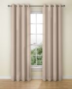 Lined Banbury Weave Eyelet Curtains RRP £75