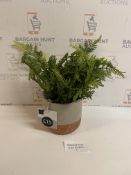 Artificial Fern In Striped Pot