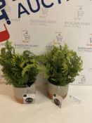 Set of 2 Artificial Plants (1 pot slightly chipped, see image)