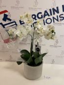 Artificial Large Orchid Plant RRP £39.50