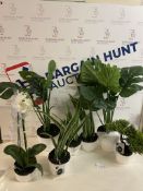 Set of Artificial Plants (without pots)
