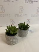 Artificial Mini Succulent In Concrete Pot, Set of 2