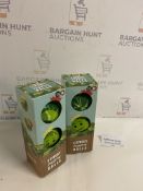 2 Packs of 3 Sprout Juggling Balls