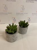 Artificial Mini Succulent In Concrete Pot, Set of 2