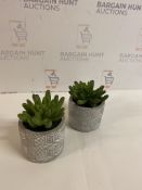 Artificial Mini Succulent In Concrete Pot, Set of 2