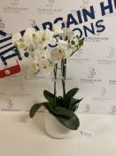 Artificial Large Orchid Plant RRP £39.50