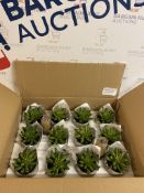 Artificial Mini Succulent in Concrete Pot, Box of 12 RRP £5 Each