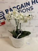 Artificial Large Orchid Plant RRP £39.50