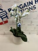 Artificial Large Orchid Plant (small chip on pot, see image) RRP £39.50