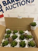 Artificial Mini Succulent in Concrete Pot, Box of 12 RRP £5 Each