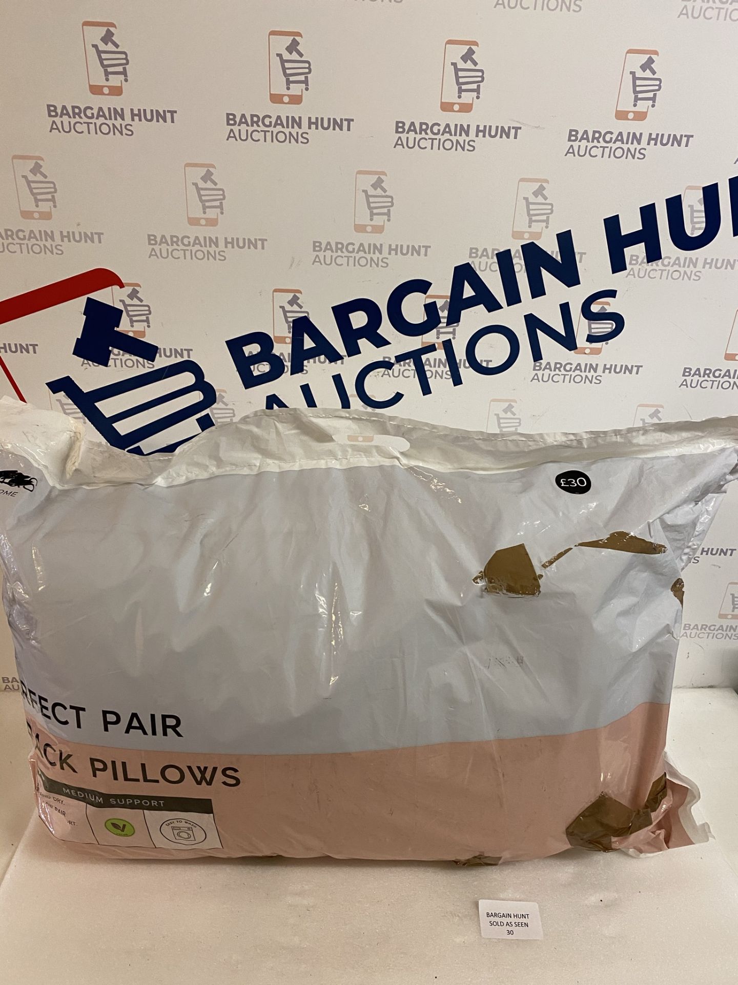 Perfect Pair 2 Pack Pillows RRP £30