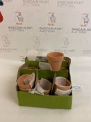 Mini Terracotta Plant Pots, Set of 27