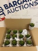 Pack of 12 Mini Artificial Plants RRP £5 Each