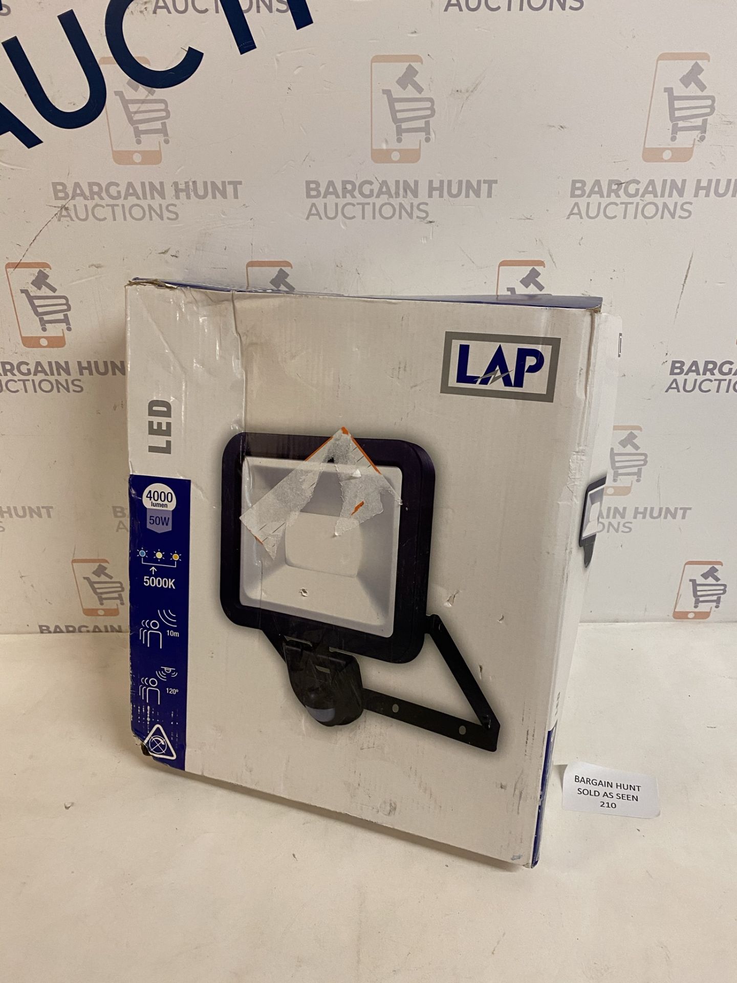 LAP LED Security Light