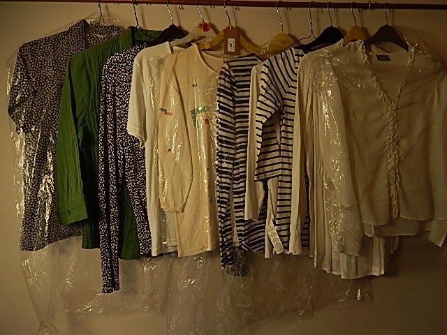 A collection of 10 tops/blouses size 10 - 14 to include Wallis and Next