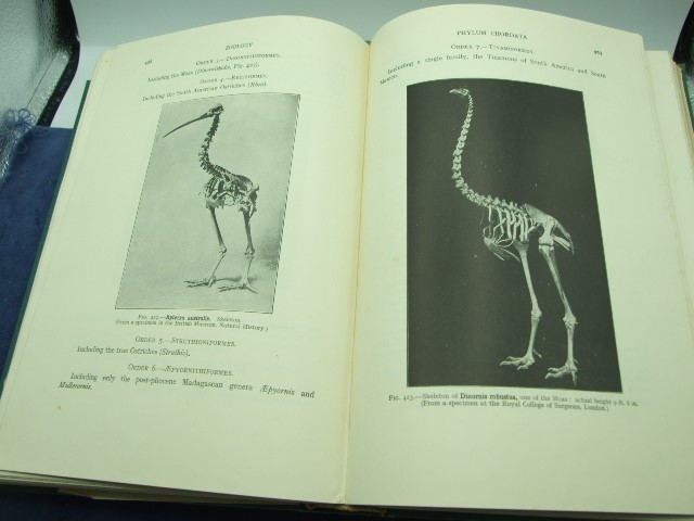 Text Book of Zoology Parker & Haswell vol 2 , Cryptogamic Botany Smith Vol 2 , Plant Anatomy and - Image 3 of 3