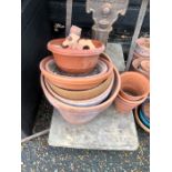 Various terracotta flower 