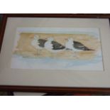 Jacqueline O"Malley watercolour 3 gulls 32 x 18 cm