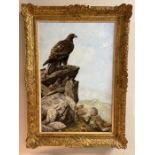 John Trickett (b.1953), gilt framed oil on canvas of Golden Eagle signed bottom left, 50cm x 75cm