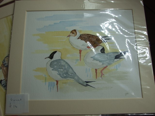 Jacqueline O"Malley watercolour of Gulls approx 10 x 8 inches