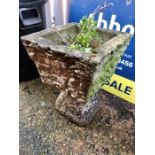 Square Concrete Planter