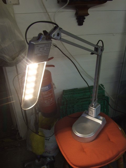 Modern Angle Poise LED Reading / Desk Lamp