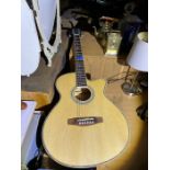 Classical Martin Smith Guitar