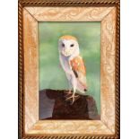 D J Fema A pastel study of a Barn Owl inscribed D J Fema bottom right, 36x23cm framed