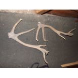 2 Deer Antlers approx 27 inches long