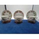 Robin Hin 'hummingbirds of the world' tea cup, saucer and stand collection, 12 in total, all in