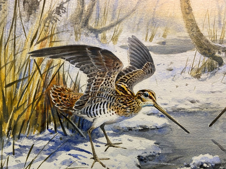 Carl Donner (b.1957), "Snipe in a snowy woodland", watercolour, signed lower right, 35 x 53 cm - Image 4 of 4