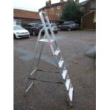 Alloy Step Ladder